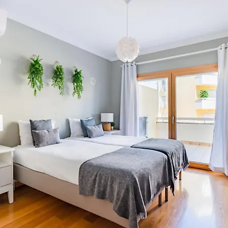Deluxe Flat Apartment