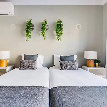 Deluxe Flat Apartment